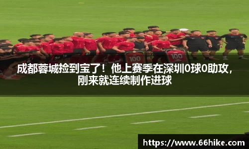 星空综合股份(中国)